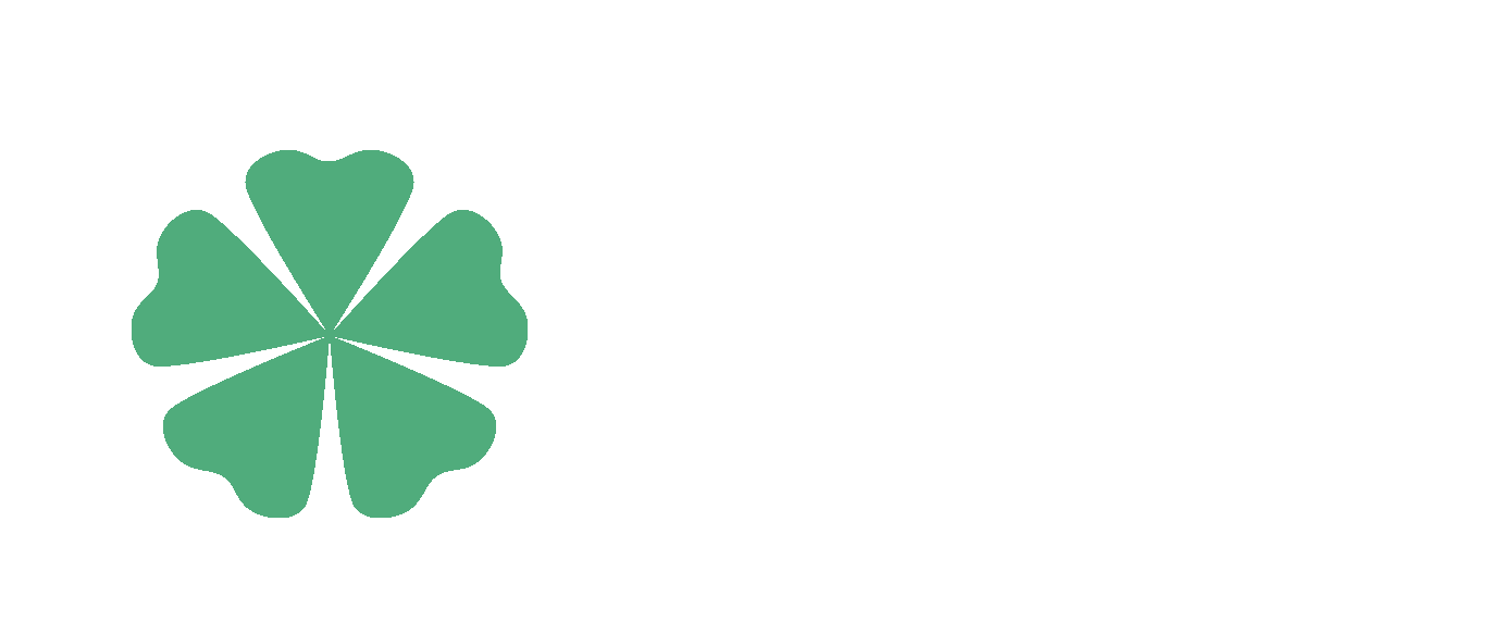 Octa Logo